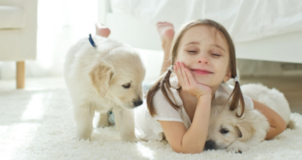 Mädchen mit zwei Welpen